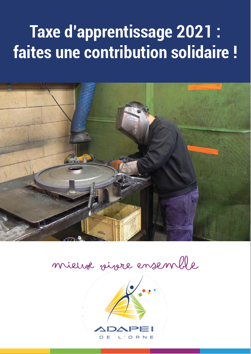 Taxe d’apprentissage : une contribution solidaire en faveur du handicap !