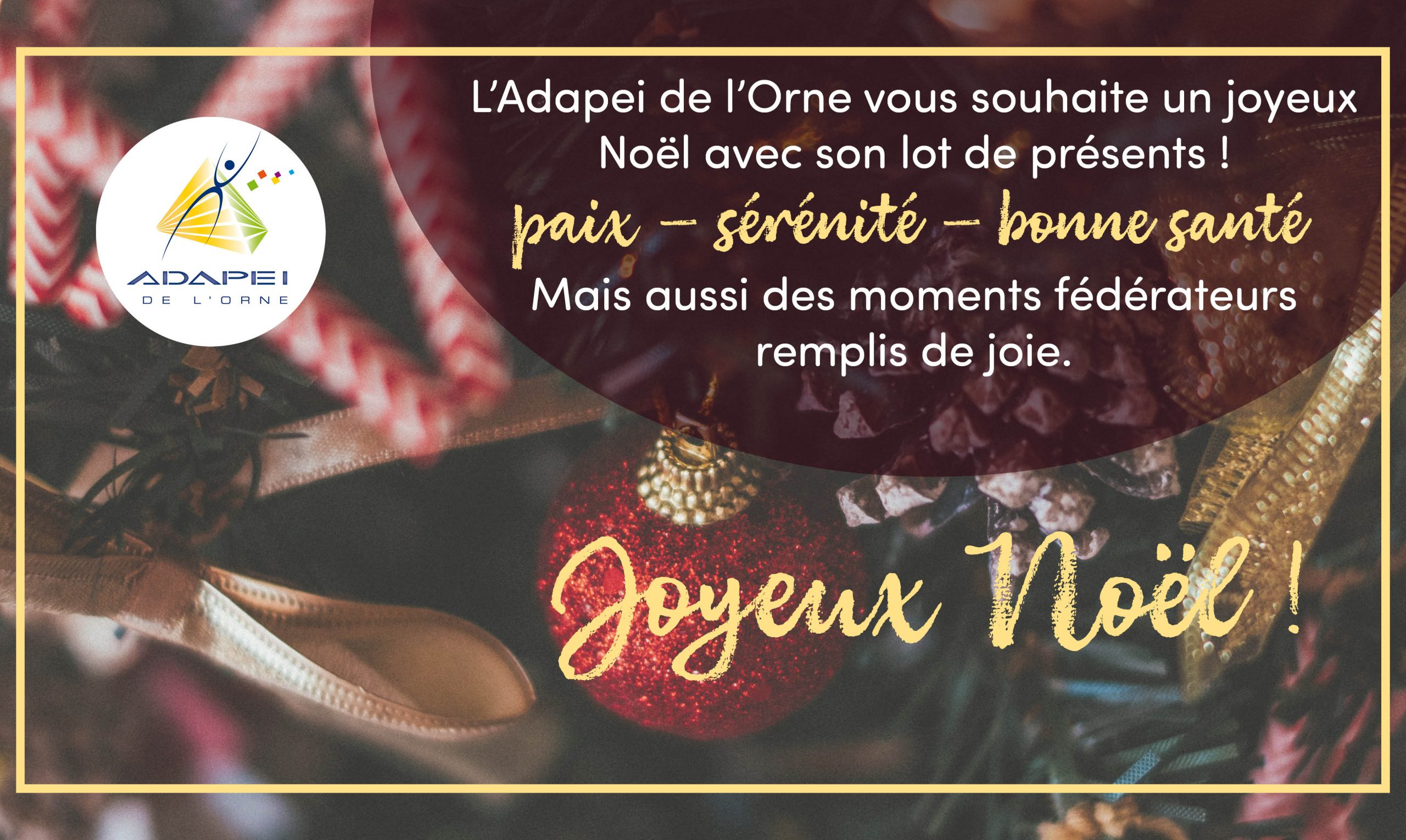 L’Adapei de l’Orne vous souhaite de très belles fêtes de fin d’année
